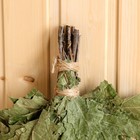 Веник для бани из Канадского дуба в индивидуальной упаковке - фото 24399233