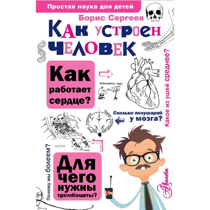 

Как устроен человек. Сергеев Б.Ф.