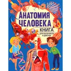 Анатомия человека. Книга для мальчиков и девочек. Голотина Л.Ю. - фото 109953486
