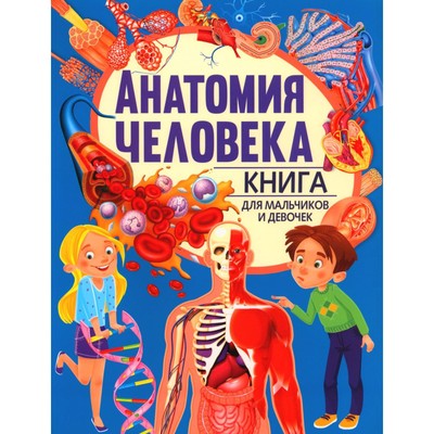 Анатомия человека. Книга для мальчиков и девочек. Голотина Л.Ю.
