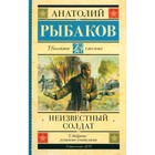 Неизвестный солдат. Рыбаков А.Н. - фото 110180853