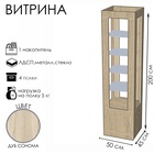 Витрина «К 500Д», 500×450×2000 мм, ЛДСП, стекло, цвет дуб сонома 9846667