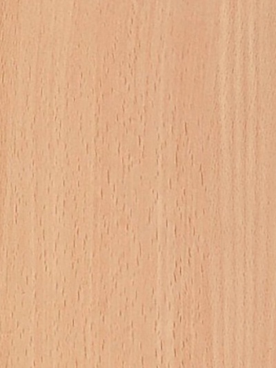Шкаф «ШП 1», 900×500×2000 мм, ЛДСП, стекло, цвет дуб сонома