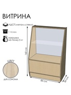 Витрина «ВЭ-1», 850×500×1600 мм, ЛДСП, стекло, цвет дуб сонома  (артикул 9846763)  большой выбор товаров оптом и в розницу по низким ценам с доставкой