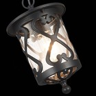 Светильник уличный подвесной St Luce. SL085.403.01. Lorne. 1х60 Вт, E27, 15,5х15,5х25,5 см, цвет чёрный - Фото 7