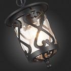 Светильник уличный подвесной St Luce. SL085.403.01. Lorne. 1х60 Вт, E27, 15,5х15,5х25,5 см, цвет чёрный - Фото 8