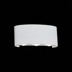 Светильник уличный настенный St Luce. SL089.501.06. Bisello. 6х1 Вт, LED, 4000K, 430 Lm, 17х8 см, цвет белый кварцевый - Фото 4