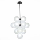 Люстра подвесная St Luce. SL1184.413.13. Todo. 13х5 Вт, G9, 4000K, 50х50х59 см, цвет чёрный - Фото 4