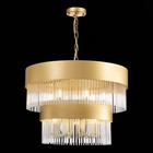 Люстра подвесная St Luce. SL1225.203.09. Contatto. 9х40 Вт, E14, 60х60х43 см, цвет золотистый - Фото 2