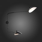 Светильник настенный St Luce. SL305.401.02. Spruzzo. 2х60 Вт, E27, 18х75 см, цвет чёрный - Фото 3