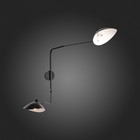 Светильник настенный St Luce. SL305.401.02. Spruzzo. 2х60 Вт, E27, 18х75 см, цвет чёрный - Фото 11