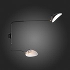 Светильник настенный St Luce. SL305.401.02. Spruzzo. 2х60 Вт, E27, 18х75 см, цвет чёрный - Фото 5