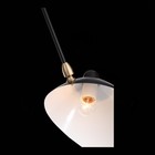 Люстра потолочная St Luce. SL305.402.06. Spruzzo. 6х60 Вт, E27, 180х180х54 см, цвет чёрный - Фото 19