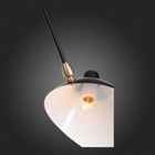 Люстра потолочная St Luce. SL305.402.06. Spruzzo. 6х60 Вт, E27, 180х180х54 см, цвет чёрный - Фото 20