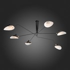 Люстра потолочная St Luce. SL305.402.06. Spruzzo. 6х60 Вт, E27, 180х180х54 см, цвет чёрный - Фото 23