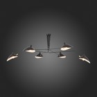 Люстра потолочная St Luce. SL305.402.06. Spruzzo. 6х60 Вт, E27, 180х180х54 см, цвет чёрный - Фото 5