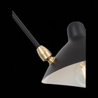 Люстра потолочная St Luce. SL305.402.06. Spruzzo. 6х60 Вт, E27, 180х180х54 см, цвет чёрный - Фото 7