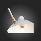 Люстра потолочная St Luce. SL305.502.06. Spruzzo. 6х60 Вт, E27, 180х180х54 см, цвет белый - Фото 11