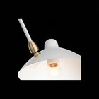 Люстра потолочная St Luce. SL305.502.06. Spruzzo. 6х60 Вт, E27, 180х180х54 см, цвет белый - Фото 10