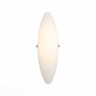 Светильник настенный St Luce. SL508.511.01. Snello. 1х8 Вт, LED, 4000K, 8х33 см, цвет белый 9839792 - фото 313279525