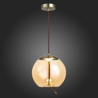 Люстра подвесная St Luce. SL6108.313.01. Ozzio. 1х10 Вт, LED, 3000K, 500 Lm, 30х30х30 см, цвет бронза - Фото 3