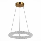 Люстра подвесная St Luce. SL6110.203.01. Avana. 1х25 Вт, LED, 3000-6500K, 1875 Lm, 40х40х20 см, цвет золотистый - Фото 4