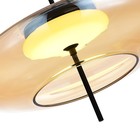 Подвес St Luce. SL6500.413.01. Helia. 1х15 Вт, LED, 3000K, 1275 Lm, 40х40х160 см, цвет чёрный - Фото 5