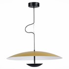 Светильник подвесной St Luce. SL6502.213.01. Armonico. 1х40 Вт, LED, 3000K, 3200 Lm, 60х60х160 см, цвет золотистый, черный - Фото 4