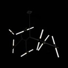 Люстра потолочная St Luce. SL947.402.14. Laconicita. 14х5 Вт, G9, 4000K, 40х160х73 см, цвет чёрный - Фото 2