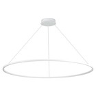 Светильник подвесной St Luce. ST605.543.57. 1х57 Вт, LED, 4000K, 3705 Lm, 100х100 см, цвет белый - Фото 4