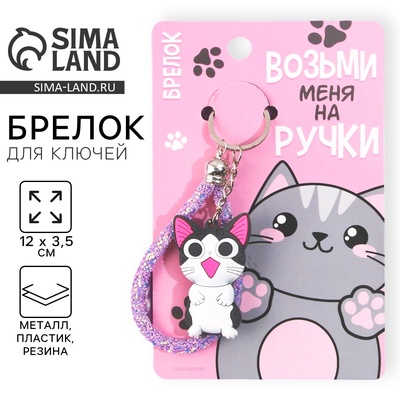 Брелок для ключей «Возьми меня на ручки», 12×3.5 см