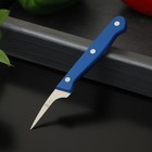 Нож кухонный «Фигурный», для карвинга, лезвие 5 см - Фото 1