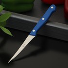 Нож кухонный «Фигурный», для карвинга, лезвие 9 см - фото 2833895