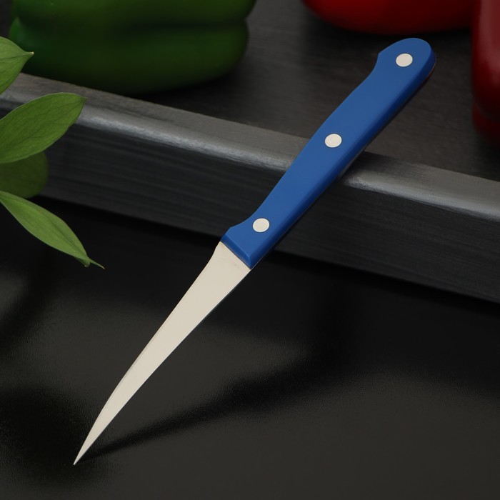 Нож кухонный «Фигурный», для карвинга, лезвие 9 см