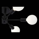 Светильник потолочный Evoluce. SL419.402.06. Ano. 6х60 Вт, E27, 46х48х23 см, цвет чёрный - Фото 7