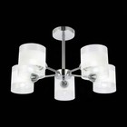 Светильник потолочный Evoluce. SLE102802-05. Miento. 5х40 Вт, E14, 58х58х30,5 см, цвет хром - Фото 3