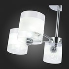 Светильник потолочный Evoluce. SLE102802-05. Miento. 5х40 Вт, E14, 58х58х30,5 см, цвет хром - Фото 8