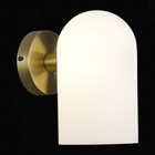 Светильник настенный Evoluce. SLE1047-301-01. Nobilia. 1х40 Вт, E14, 12х20 см, цвет бронза - Фото 2