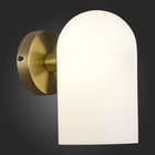 Светильник настенный Evoluce. SLE1047-301-01. Nobilia. 1х40 Вт, E14, 12х20 см, цвет бронза - Фото 3