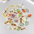 Наклейки для творчества "Насекомые" тиснение золото набор 48 шт 9х7х0,8 см - фото 22374348