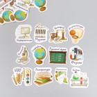 Наклейки для творчества "Школьные предметы" тиснение золото набор 48 шт 9х7х0,8 см - фото 22374472