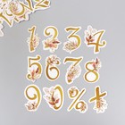 Наклейки для творчества "Цветочные цифры" тиснение золото набор 48 шт 9х7х0,8 см - Фото 2