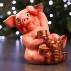 Копилка "Свинка с монетами" 15х19см - Фото 1