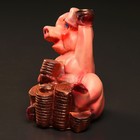 Копилка "Свинка с монетами" 15х19см - Фото 3