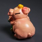 Копилка "Свинка с мешком" малая, 15см, МИКС - Фото 4