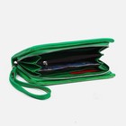 Кошелёк женский на молнии, цвет салатовый - фото 22376222