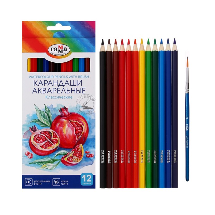 Карандаши цветные акварельные 12 цветов, «Гамма. Классические», с кистью, шестигранные, заточенные, картонная упаковка - Фото 1