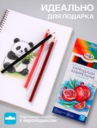 Карандаши цветные акварельные 12 цветов, «Гамма. Классические», с кистью, шестигранные, заточенные, картонная упаковка - Фото 2