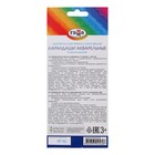 Карандаши цветные акварельные 12 цветов, «Гамма. Классические», с кистью, шестигранные, заточенные, картонная упаковка - Фото 6