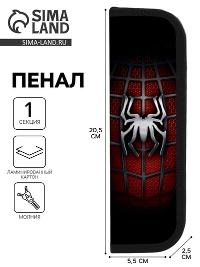 Пенал школьный, 1 секция, 5.5×20.5×2.5 см «Паук»